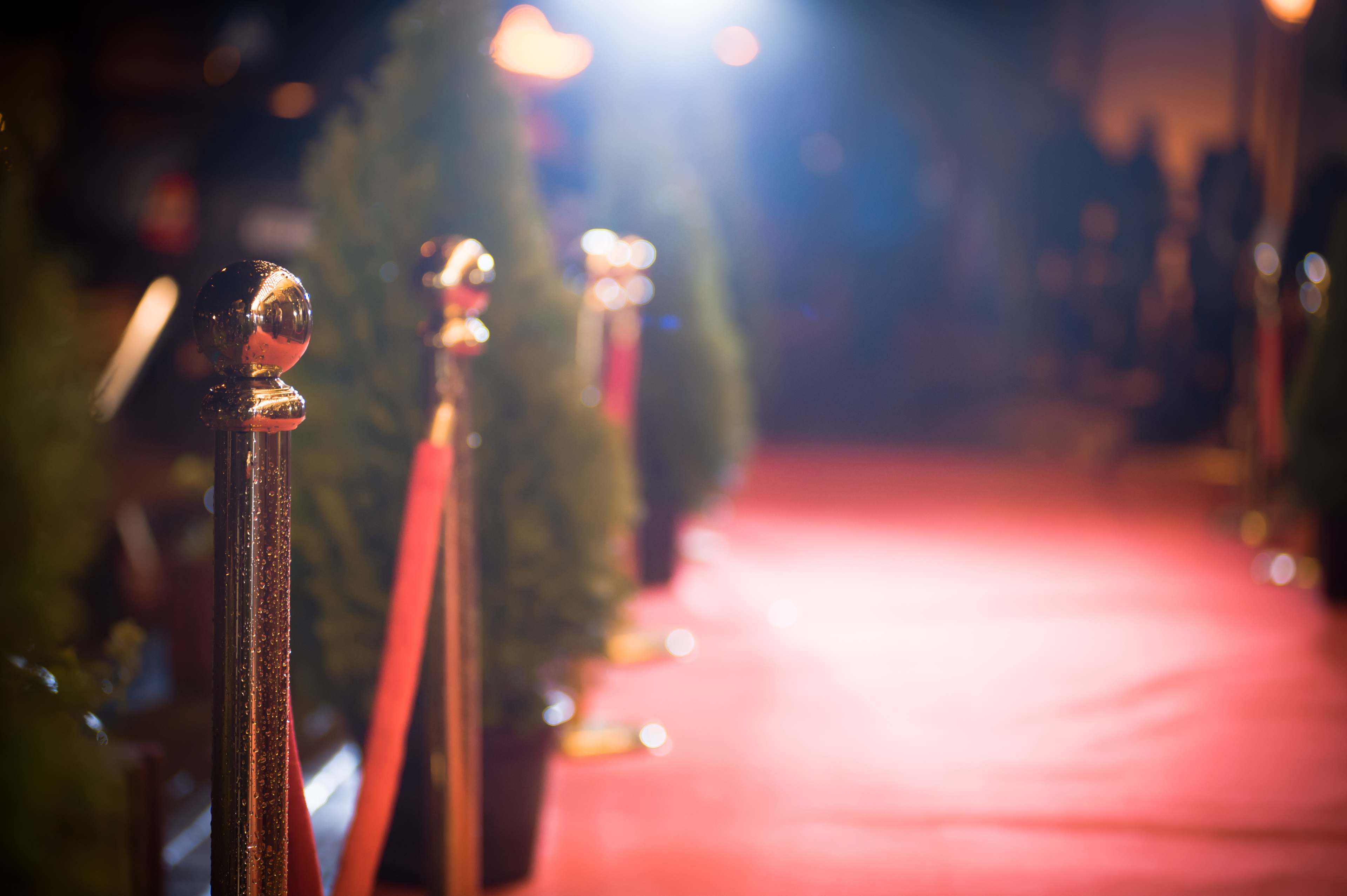 Display & Meeting Rentals