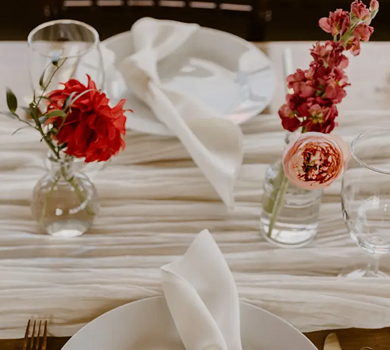 Linen, Napkin & Runner Rental