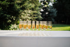 Eckert Wedding