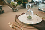 Ivory Gold 2