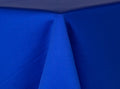 Lamour Matte Satin - Royal 639